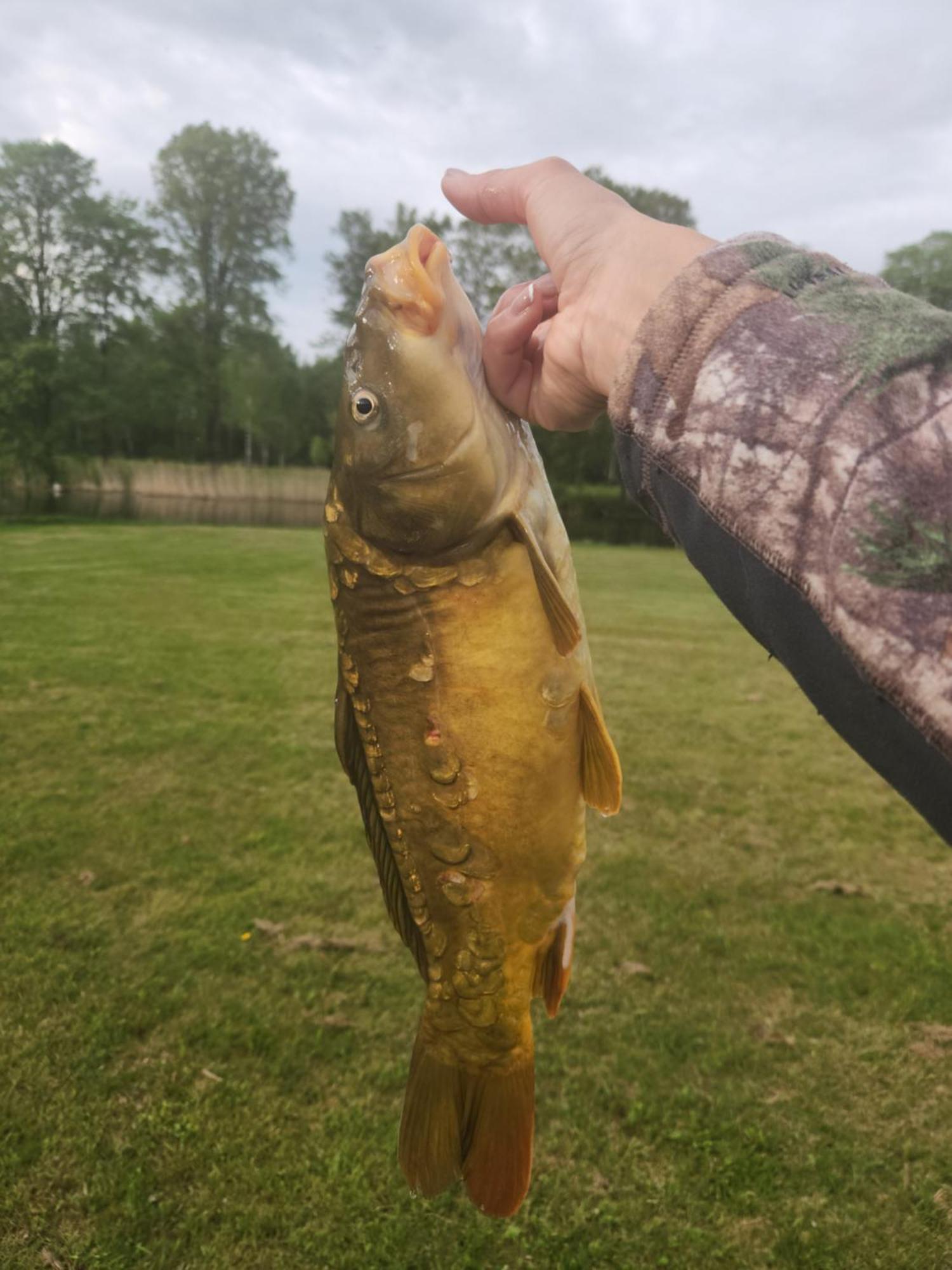 Stadelnieki Smaltani Bagian luar foto